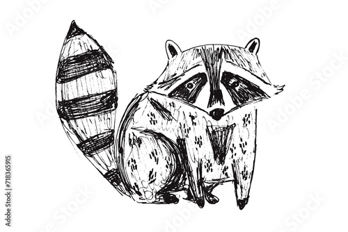 Cute black hand drawn sketch raccoon illustration. Childish drawing wild dog character for kids print design, logo, sticker
