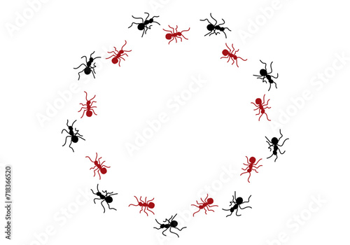 Icono de hormigas haciendo un recorrido circular. photo