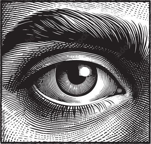 Vintage Vector Eye Illustration - Engraved Style