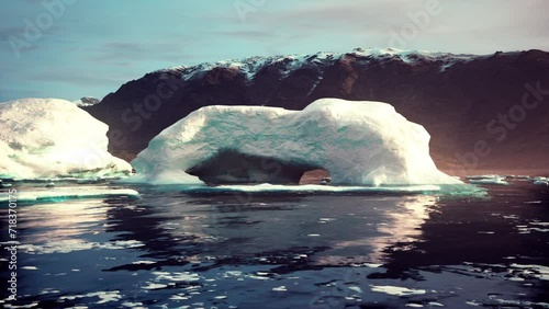 An Actively Calving Glacier with Wildlife photo