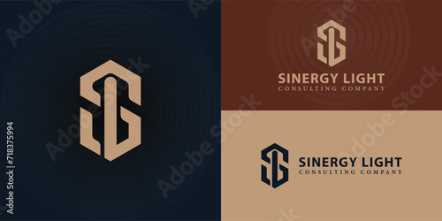 Abstract initial letter SL or LS logo in gold color isolated in blue navy backgrounds applied for business and consulting logo also suitable for the brands or companies have initial name LS or SL.