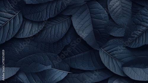  a close up of a dark blue background with lots of leafy leaves in the foreground and the bottom right corner of the frame.
