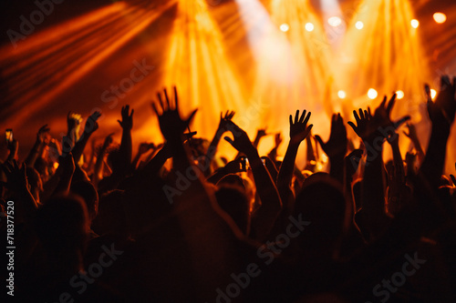 Crowd is going wild and dancing at music festival and rising their hands