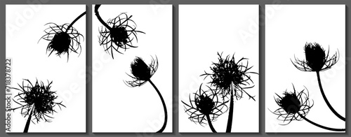 Carrot flower banners vector design. Abstract fluffy dandelions. Carrot flowe...