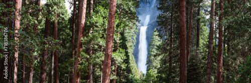 Panoramic of waterfall and pine tree forest, Yosemite National Park, California, USA photo