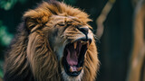 Close up shot of roaring lion. AI Generative
