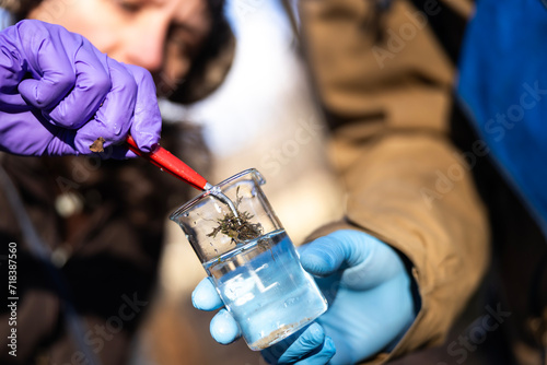Environmental Researchers Testing For Chemicals Some Moss From a Forest To Collect Data for a Report About Local Environment Health