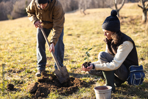 Environmental Biologists Planting Laurel Plants as Part of an Experiment for Insects Repellent Shield Around the Orchard