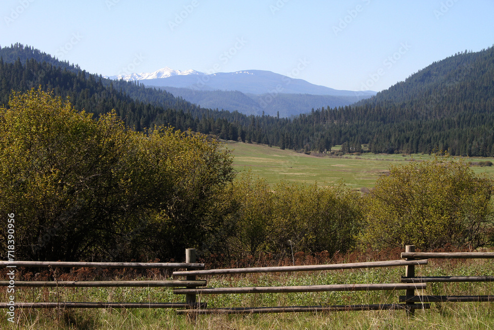 McComas Meadow in the mountains of Idaho County Idaho near Grangeville in the breaks of the Clearwater River