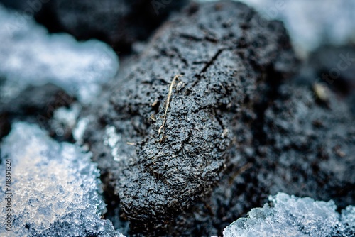 close up of soil in winter 