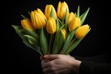 Bouquet of yellow tulips in woman's hand on black background. Valentine's day, Women's day, Mother's day. Spring yellow tulips. Yellow tulips in female  hands.