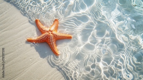 Fototapeta Naklejka Na Ścianę i Meble -  Starfish on the sand beach in clear sea water. Summer background. Summer time .Copy space. Relaxing on the beach.