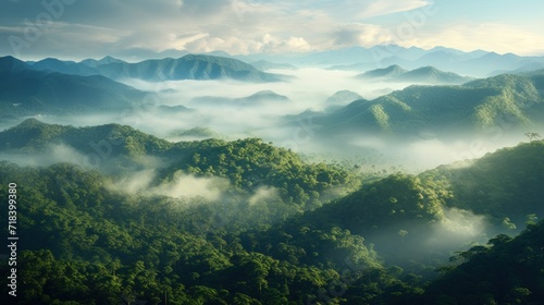  a view of a mountain range covered in fog and low lying clouds in the foreground, with trees in the foreground, and low lying clouds in the foreground. © Olga