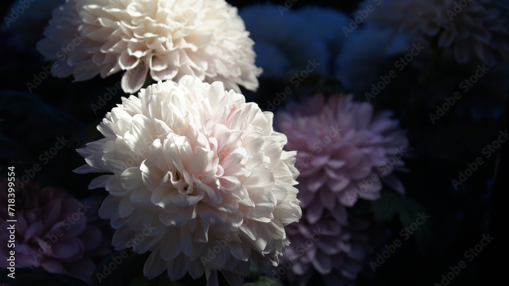 flor iluminada