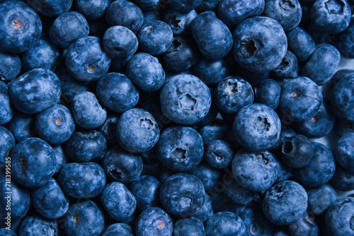 Blueberry berries close-up background.