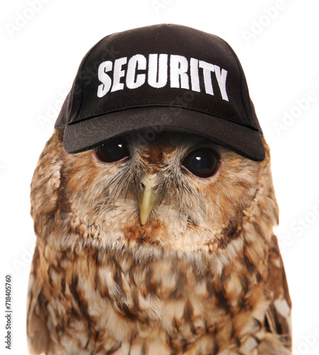 Owl with a security guard hat on a transparent background