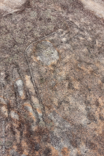 Rock carvings at Jibbon Beach, Bundeena, Royal National Park, NSW, Australia photo