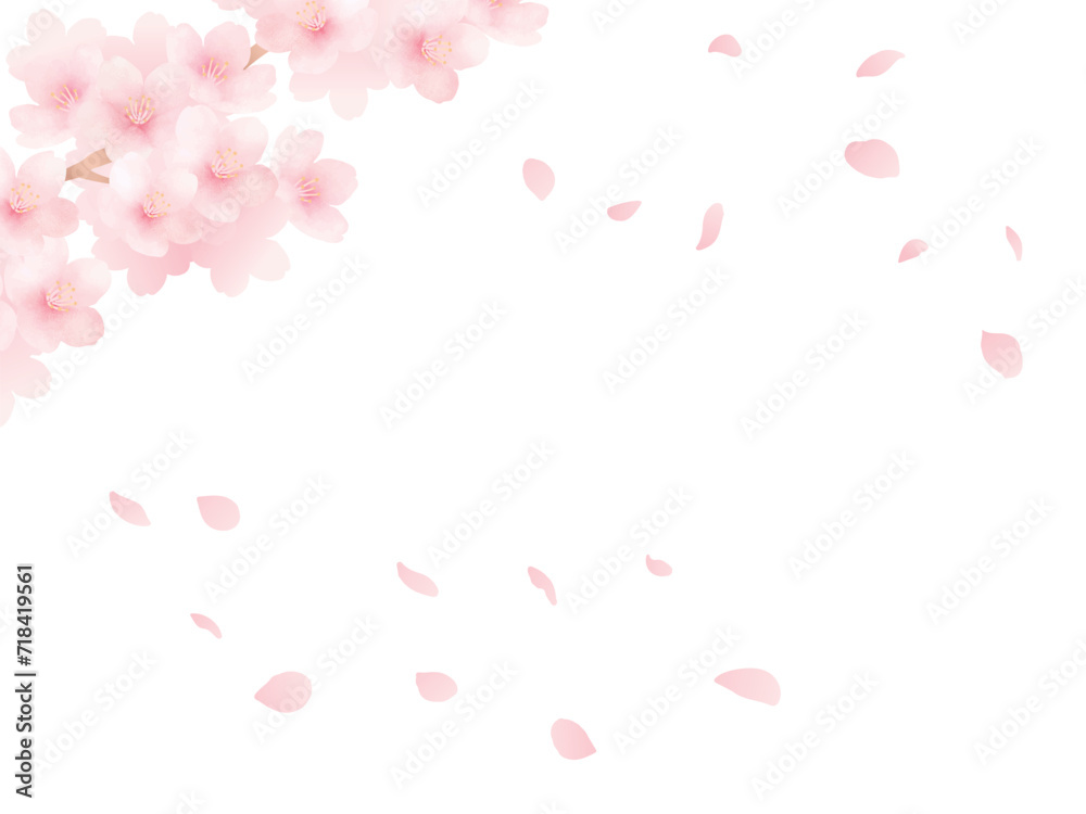 満開の桜と花びらの背景_水彩イラスト_美しい春の花の素材