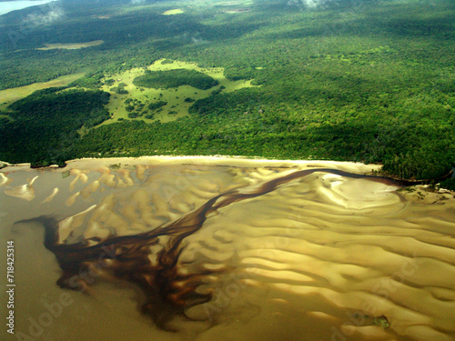 Aerial vies of a view estuary in the amazon region