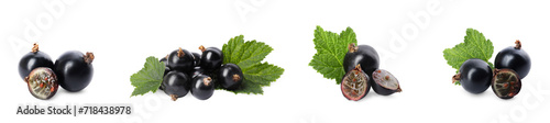 Ripe black currants and green leaves isolated on white, set