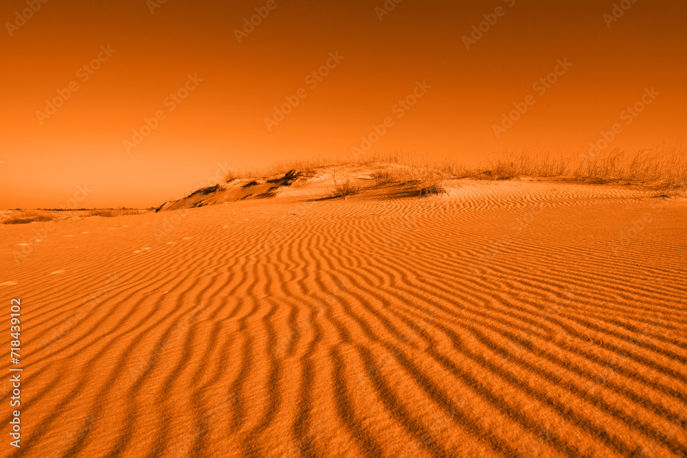 Picturesque sandy desert landscape, toned in orange