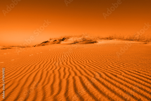 Picturesque sandy desert landscape  toned in orange