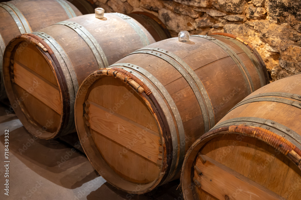 Wine cellar with wooden barrels in old wine domain on Sauternes vineyards in Barsac village affected by Botrytis cinerea noble rot, making of sweet dessert Sauternes wines in Bordeaux, France