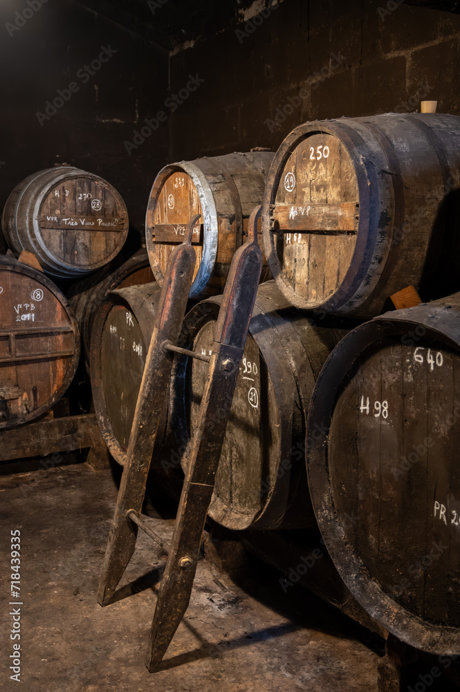 Aging process of cognac spirit in old French oak barrels in cellar in distillery in Cognac white wine region, Charente, Segonzac, Grand Champagne, France