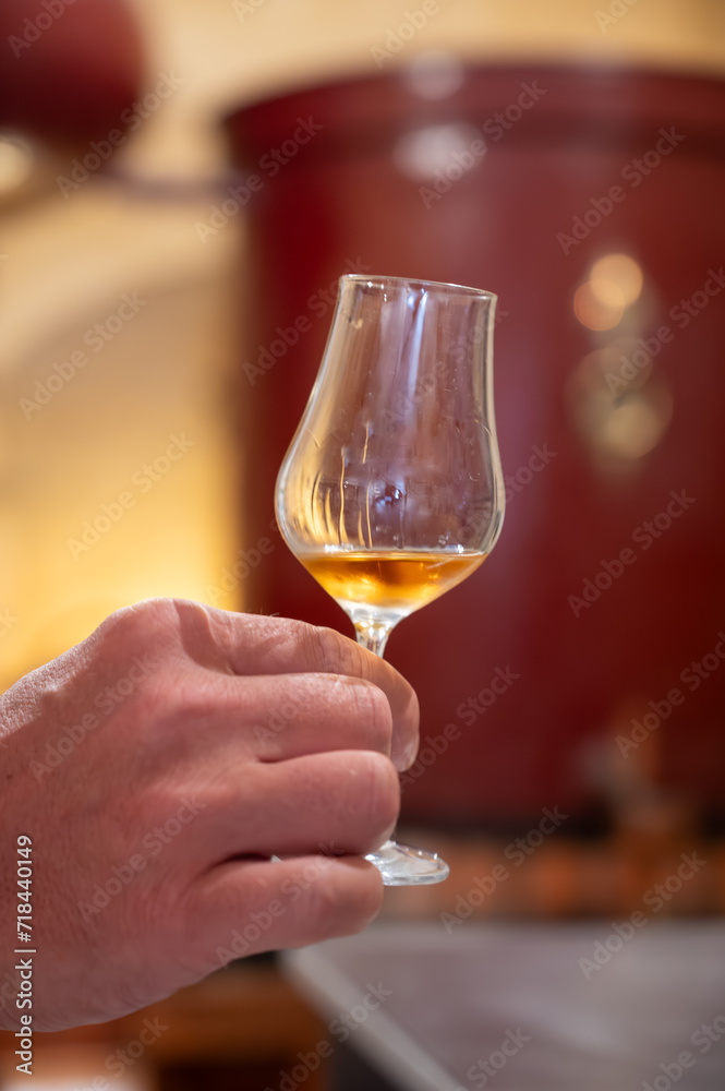 Tasting of cognac spirit aged in old French oak barrels in cellar in distillery in Cognac white wine region, Charente, Segonzac, Grand Champagne, France