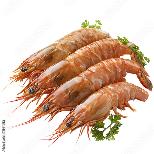 shrimp, cooked shrimp