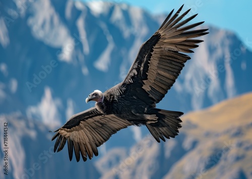 Large Bird Soaring Above Majestic Mountain Range