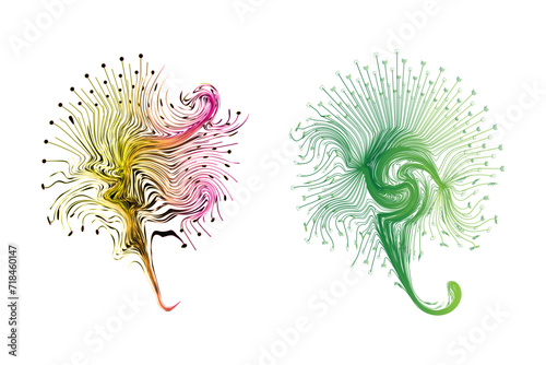 Decorative zen tangle feather boho style colorful for tattoo.