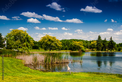 Fototapeta Naklejka Na Ścianę i Meble -  Tranquil Pond During a Summer Day, Ohio