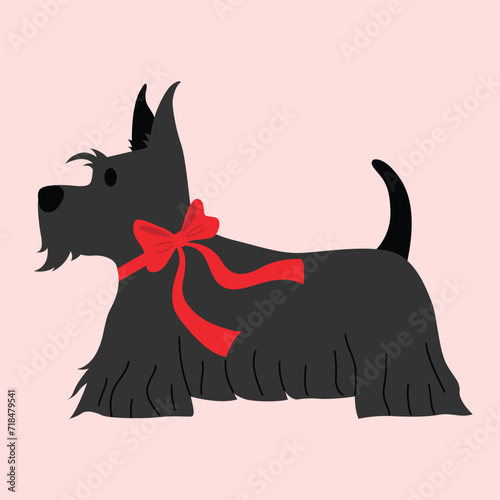 Scottish Terrier with bow collar cartoon illustration,happy Valentines day greeting card
