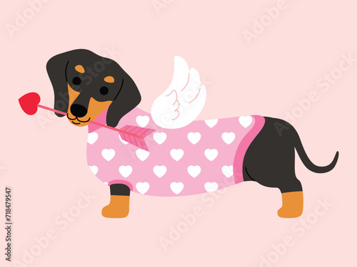 Dachshund in pink sweater with wings costume holds arrow in the mouth cartoon illustration