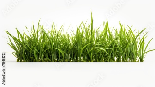 A green grass Fresh on a white isolated transparent background.