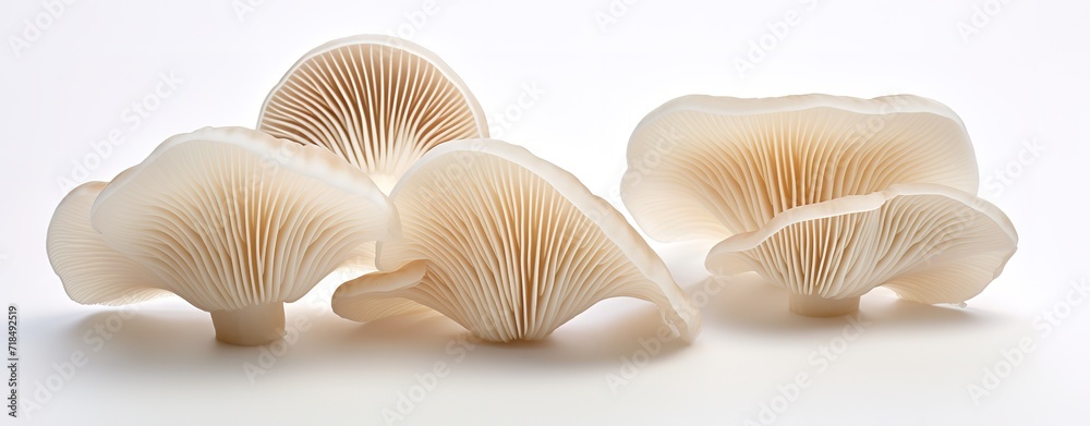 Fresh mushrooms in the photo on a white background. generative AI Fresh mushrooms in the photo on a white background. generative AI