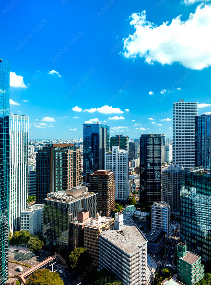 Obraz premium Skyscrapers towering above the cityscape of Shinjuku, Tokyo, Japan