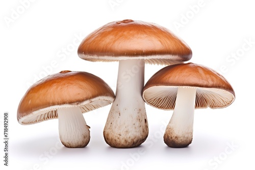 Fresh mushrooms in the photo on a white background. generative AI