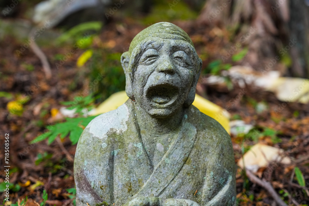 Moss covered stone Buddhist monk carving with open mouth Moss covered stone Buddhist monk carving with open mouth