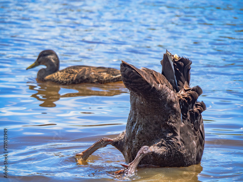 Canvas Print Travis Wetlands 16th January 2024