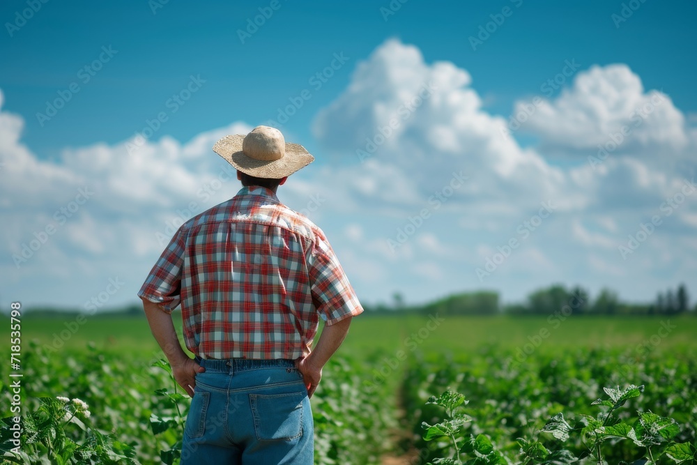 green field under a blue sky with scattered clouds green field under a blue sky with scattered clouds