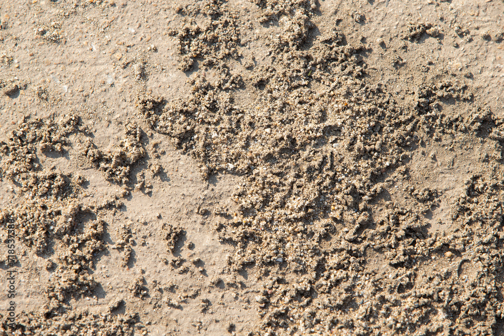 Sand texture background. Close up of sand texture. Sand background. Sand texture background. Close up of sand texture. Sand background.