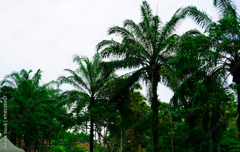 Thailand Phuket island lagoon area. nature and houses, beach and sea