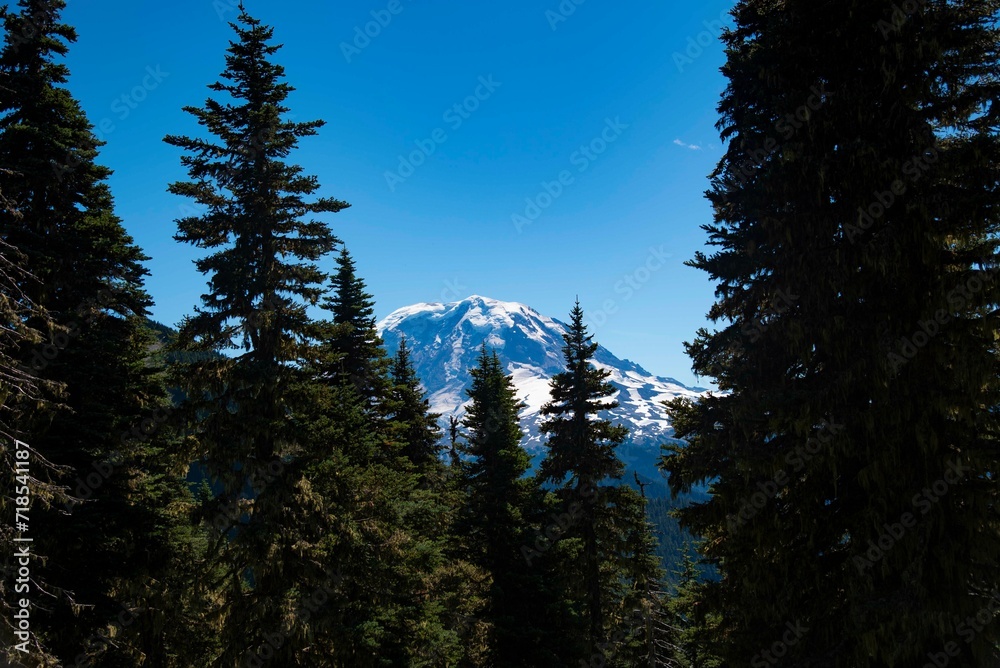 Mt. Rainier in distance behind trees Mt. Rainier in distance behind trees