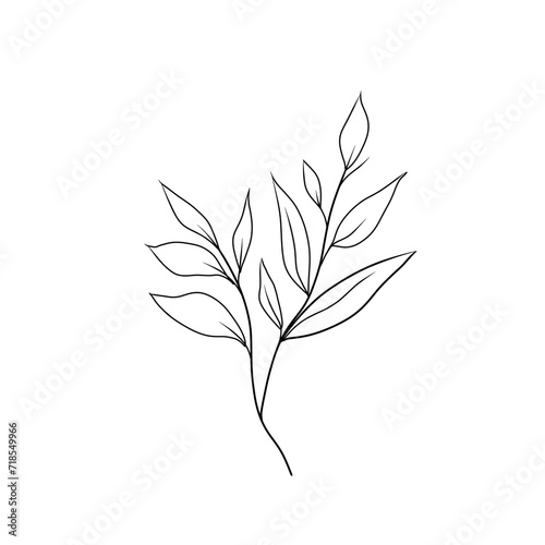 Botanical branch with leaves black and white
