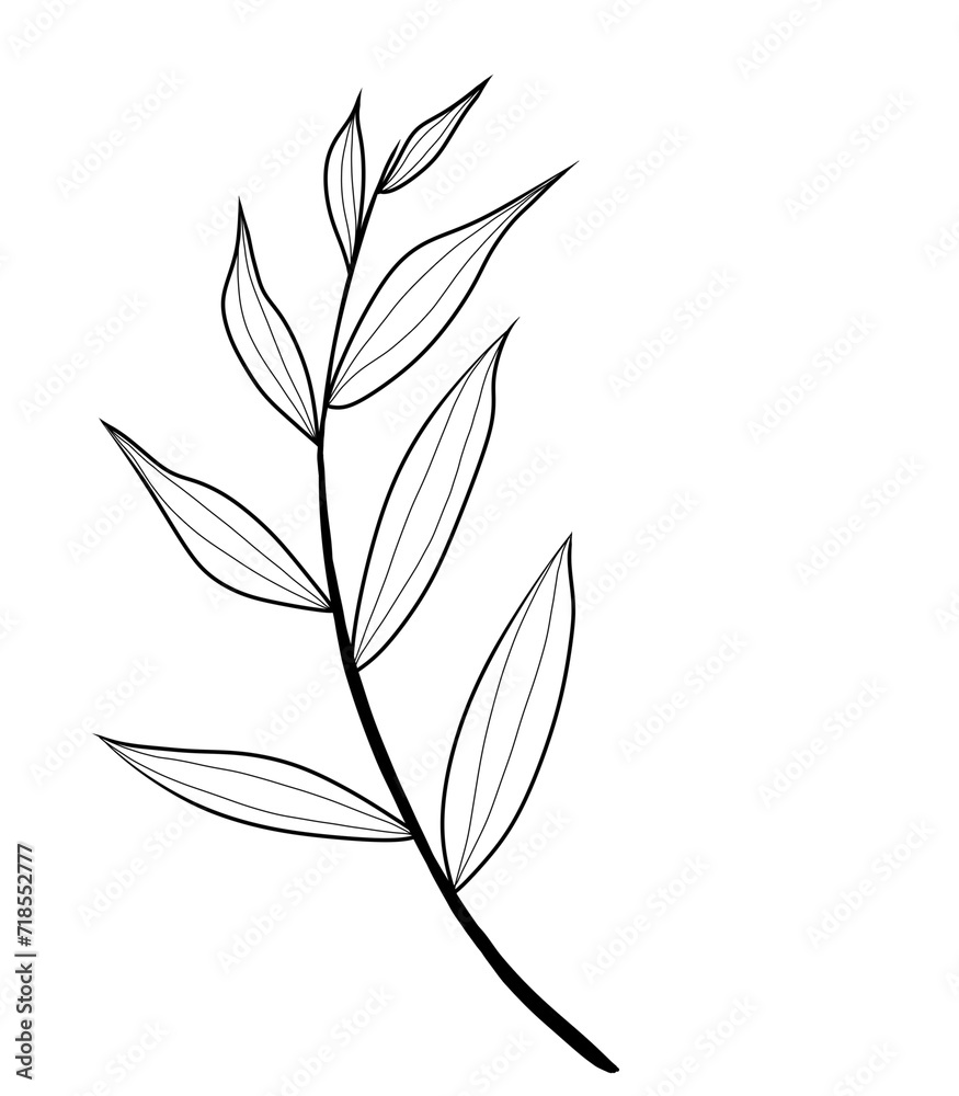 Botanical branch with leaves black and white Botanical branch with leaves black and white