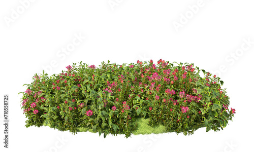 A small garden with shrubs and flowers of various colors. On a transparent background