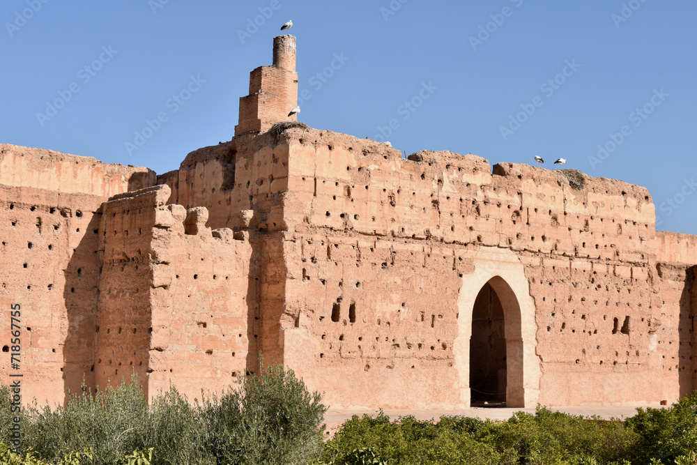 Badi Palace Wall Detail with Arabesque Arch and Orange Grove in Foreground, Marrakech, Morocco