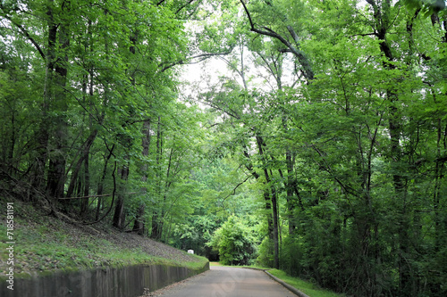 Forested Road Leading to Vicksburg National Military Park Battlefields in Mississippi